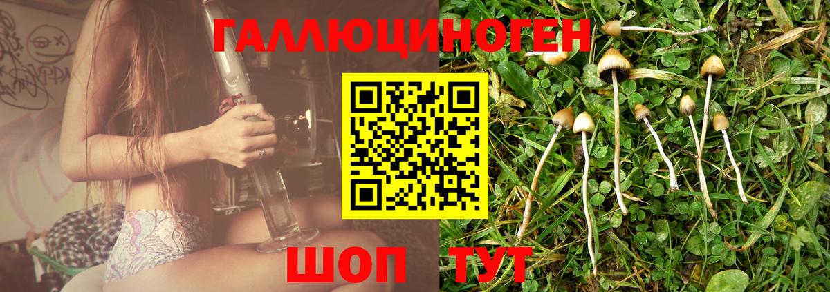 Псилоцибиновые грибы MAGIC MUSHROOMS  Вход с VPN  Рассказово 